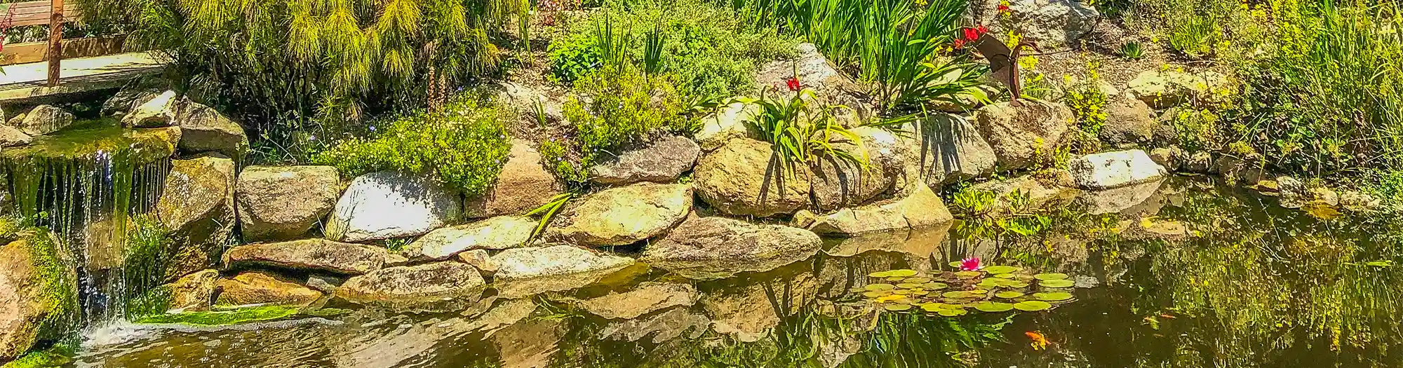 jardin exotique de roscoff